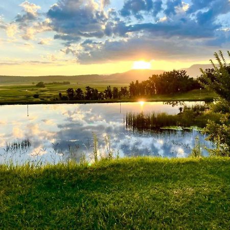 Grey Goose Game Lodge نيوكاسل المظهر الخارجي الصورة